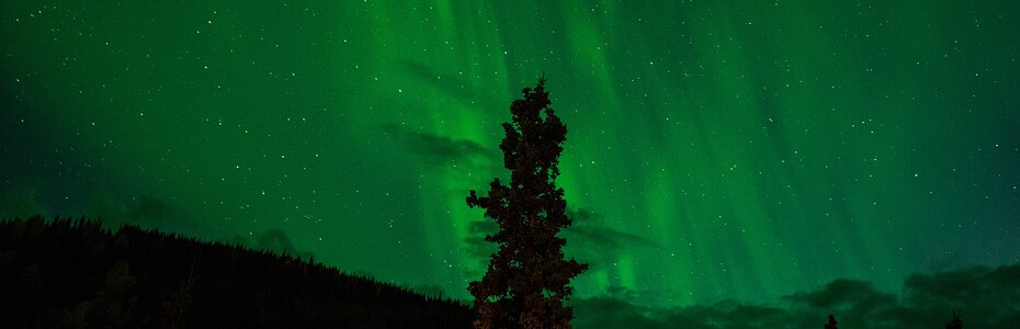 This is default featured slide 2 title