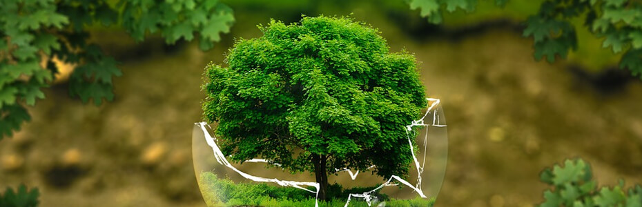 This is default featured slide 3 title