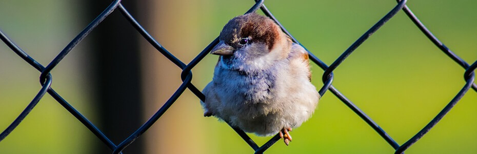 This is default featured slide 4 title